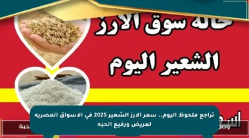 تراجع ملحوظ اليوم.. سعر الأرز الشعير 2025 في الأسواق المصرية لعريض ورفيع الحبة